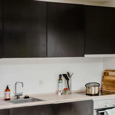 Morning Sun And Starry Sky From Bed *