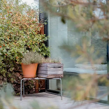 Morning Sun And Starry Sky From Bed Yderby