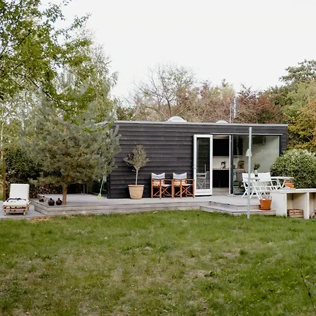 Morning Sun And Starry Sky From Bed * Yderby