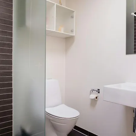 Morning Sun And Starry Sky From Bed *