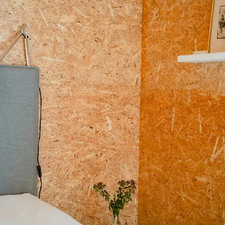 Morning Sun And Starry Sky From Bed * Yderby