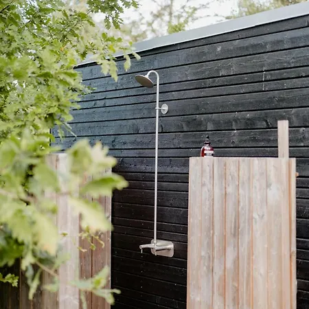 Morning Sun And Starry Sky From Bed