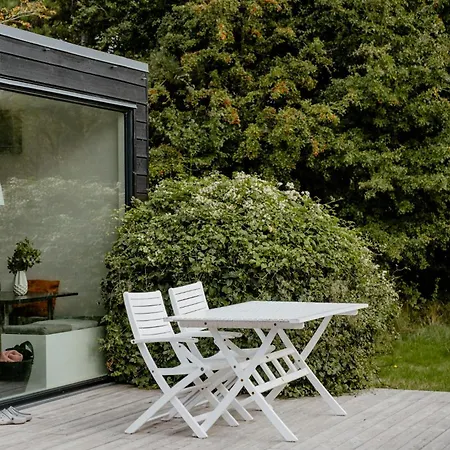 Morning Sun And Starry Sky From Bed
