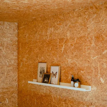 Morning Sun And Starry Sky From Bed * Yderby